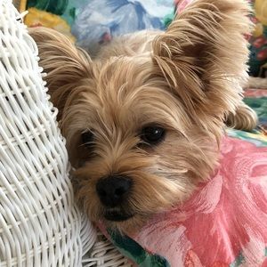 Meet your Posher, Deborah